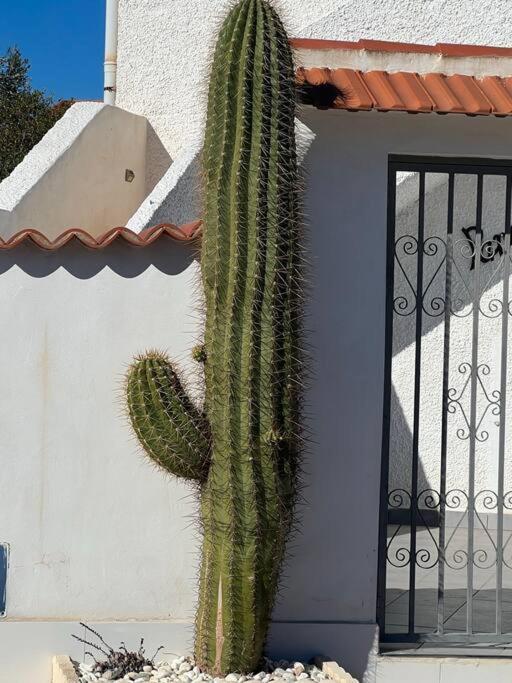 Club Salino 18 Leilighet Torrevieja Eksteriør bilde