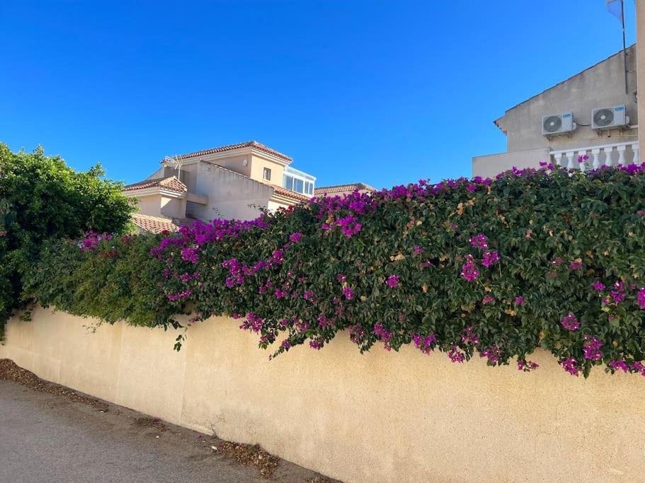 Club Salino 18 Leilighet Torrevieja Eksteriør bilde