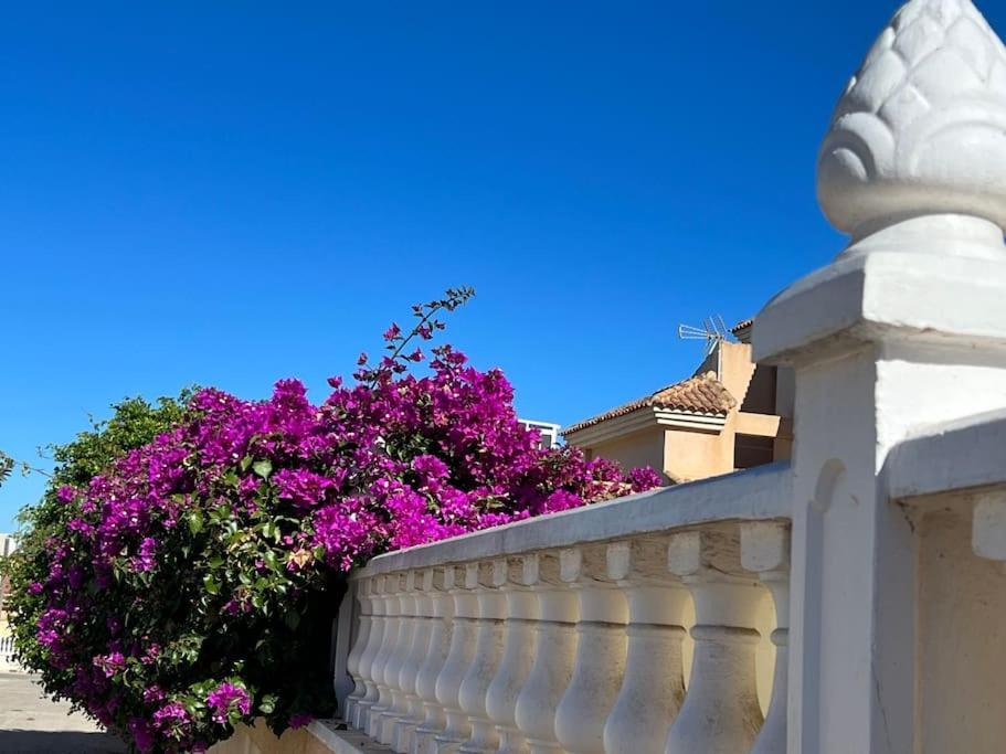 Club Salino 18 Leilighet Torrevieja Eksteriør bilde